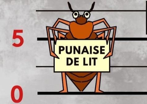 Les formations Oh Punaises « Punaises de lit, Maitriser le sujet pour mieux accompagner »