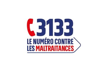 Nouvelle Plateforme téléphonique nationale 3133