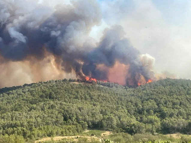 Incendies Aude : Recommandations sanitaires relatives à l’exposition aux fumées