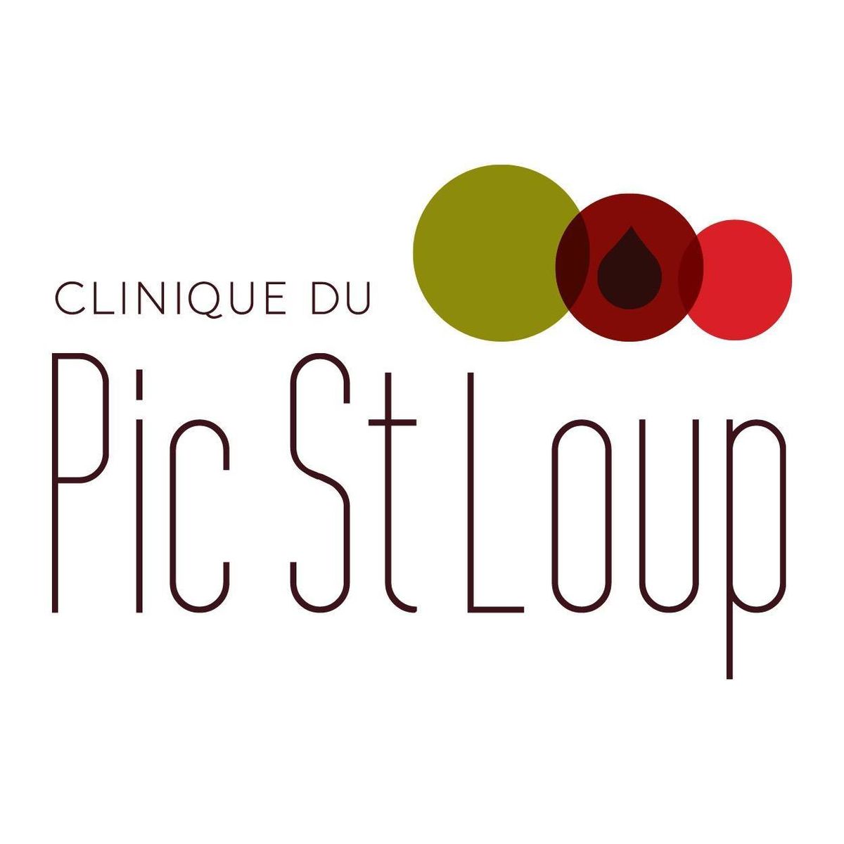 logo Clinique du Pic St Loup - Saint-Clément de Rivière